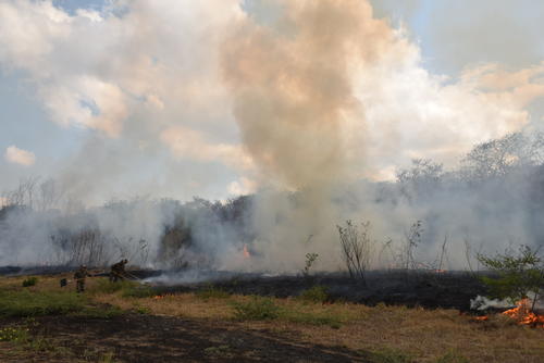 Otra de las recomendaciones es no tirar colillas de cigarros en el pasto, ya que si no est&aacute; bien apagada podr&iacute;a generar un siniestro. (Foto: Juan Carlos Aquino/Colaborador)