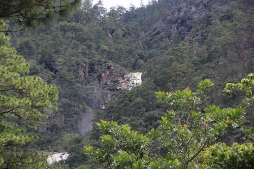El principal recurso de la Sierra de las Minas son sus fuentes h&iacute;dricas que proveen agua a 14 municipios de 5 departamentos. (Foto: Fredy Hern&aacute;ndez/Colaborador)