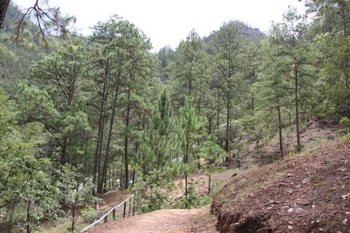 Podr&aacute;s explorar la naturaleza y hacer senderismo. (Foto: Fredy Hern&aacute;ndez/Colaborador)