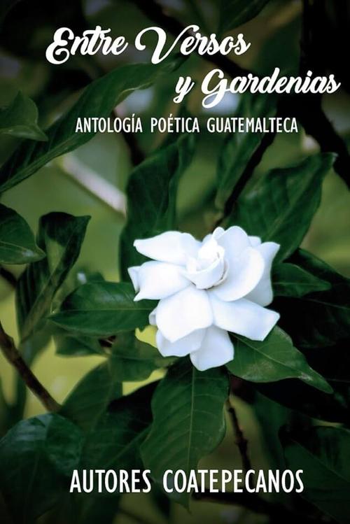 M&iacute;nchez aport&oacute; en la recopilaci&oacute;n de poemas para el texto Entre versos y gardenias. (Foto: Amazon)