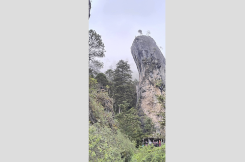 Es un lugar lleno de naturaleza para disfrutar. (Foto: Esteban Matias)