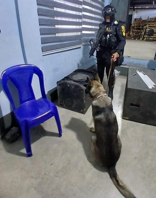 En el operativo particip&oacute; un perro polic&iacute;a. (Foto: PNC)