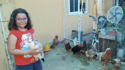 La peque&ntilde;a zacapaneca Liliana Vanessa Fernanda Chac&oacute;n Torres indica que tiene 15 gallinas ponedoras. (Foto: Carlos Monroy/Colaborador)