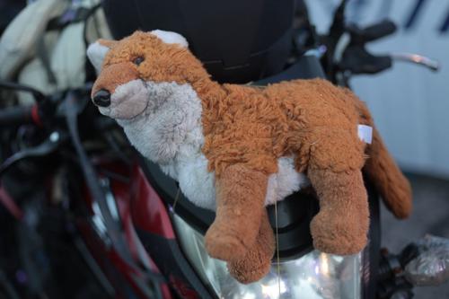 (Foto: &Oacute;scar Rivas/SOY502)