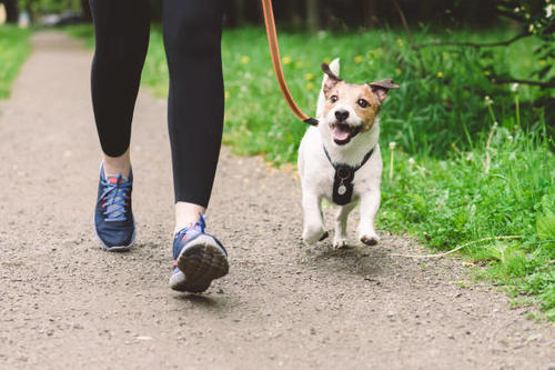 Una ma&ntilde;ana perfecta para realizar actividades al aire libre. (Foto ilustrativa: Istock)