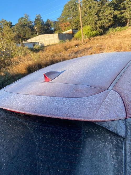 (Foto: redes sociales)