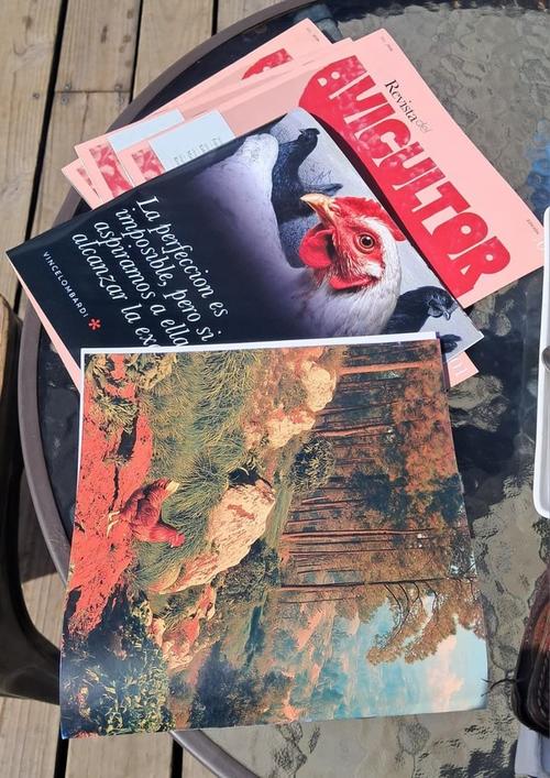 En sus revistas abordan diferentes tem&aacute;ticas relacionados a la crianza de aves de corral. (Foto: Pedro Sicajau/Colaborador)