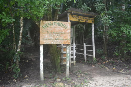 El bosque del sitio arqueol&oacute;gico El Chal es h&aacute;bitat de monos, tucanes y otras especies. (Foto: Carlos Pel&aacute;ez/Colaborador)