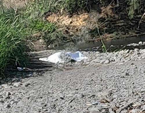 La joven madre y su beb&eacute; fueron halladas muertas cerca de un r&iacute;o en Siquinal&aacute;, Escuintla. (Foto: archivo/Soy502)