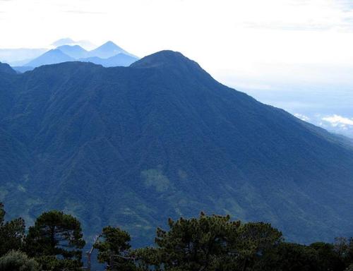 El cerro est&aacute; cubierto por densos bosques nubosos, uno de los ecosistemas m&aacute;s fr&aacute;giles y escasos de la regi&oacute;n. (Foto: Guatemala De Postal)
