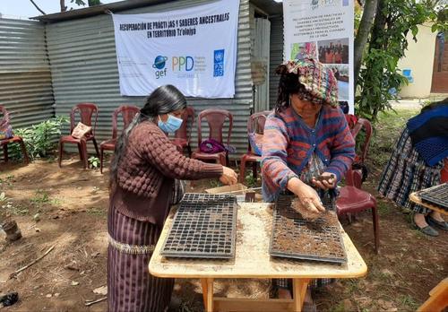 Todas las agremiadas se involucran en la siembra, cosecha y producci&oacute;n. (Foto: Alfonso Gu&aacute;rquez/Colaborador)