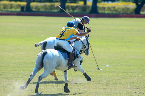 Cuatro fueron los representativos que entraron en la disputa por el t&iacute;tulo del Campeonato Nacional de Mediano Handicap 2026. (Foto: Norvin Mendoza / ASOPOLO)
