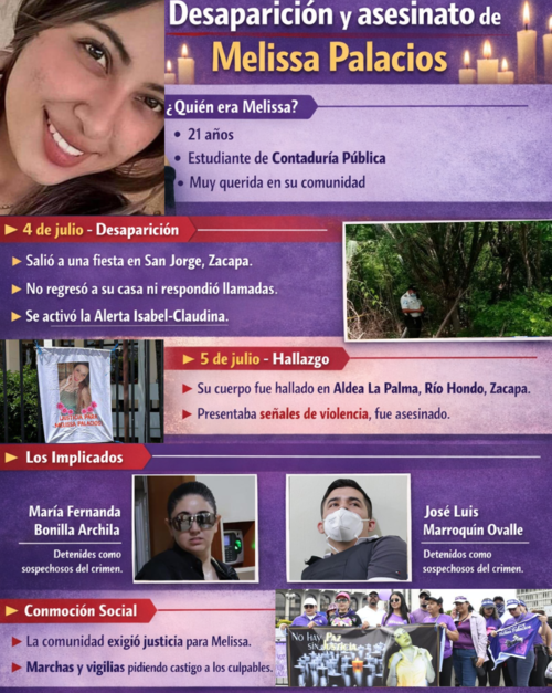 Detalles del caso de Melissa Palacios. (Elaboraci&oacute;n: Soy502)