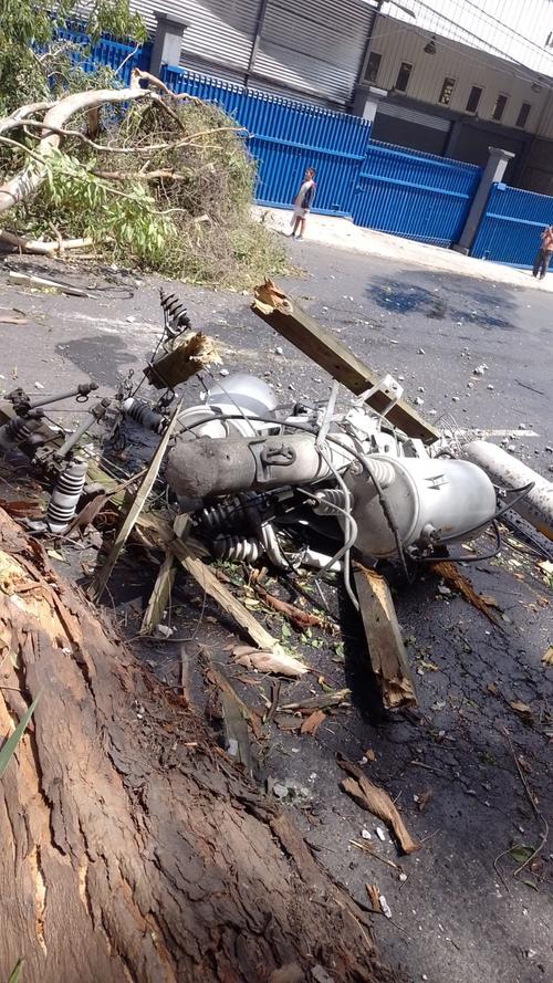 Postes del tendido el&eacute;ctrico han quedado destruidos por ca&iacute;da de ramas y &aacute;rboles. (Foto: EEGSA)