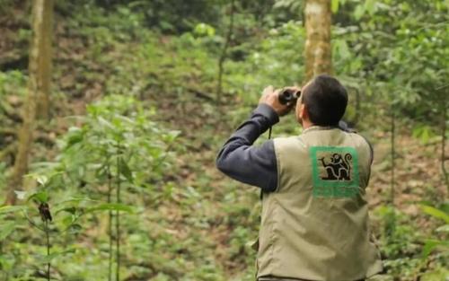 Guardarrecursos se mantienen alertas ante cualquier avistamiento que pueda reportarse. (Foto: Conap)
