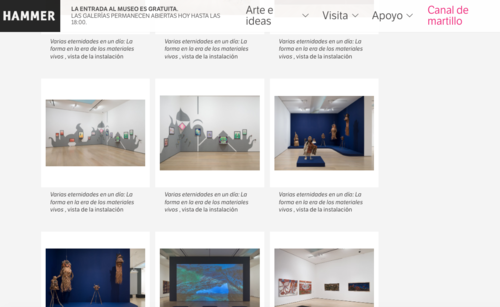 Pablo Ramirez, guatemalteco, curador, museo, hammer, UCLA 1