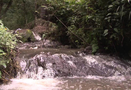 Conoce los 17 nacimientos de agua en el hist&oacute;rico&nbsp;Cerro&nbsp;Alux.  (Foto: Archivo)