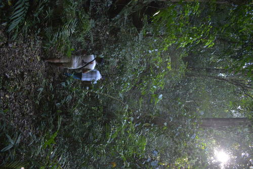 La caminata por el sendero de llegada a la cueva dura cerca de media hora. (Foto: Jos&eacute; Rodr&iacute;guez/Colaborador)
