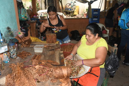 El tabaco en Zacapa no es solo un cultivo; es el sustento que transform&oacute; la econom&iacute;a de las familias. (Foto: Juan Carlos Aquino/Colaborador)