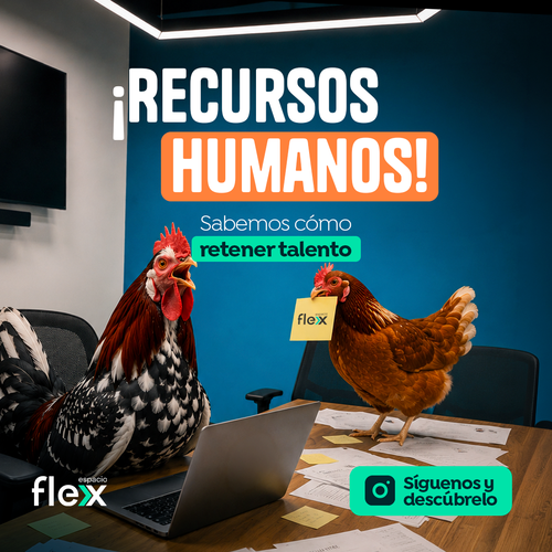 Espacio Flex, Gallos, Busco Trabajo, campa&ntilde;a, Guatemala, Soy502