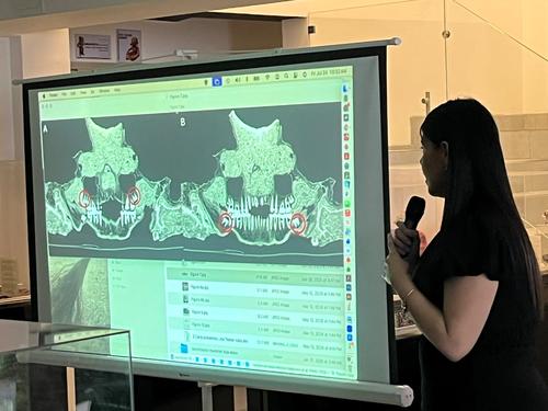 Rostro, estuco, maya, craneo, fundacion, ruta maya, mexicon, investigaci&oacute;n, guatemala, soy502, noticias 4