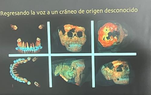 Rostro, estuco, maya, cráneo, fundación, ruta maya, mexicon, investigación, guatemala, soy502, noticias 8