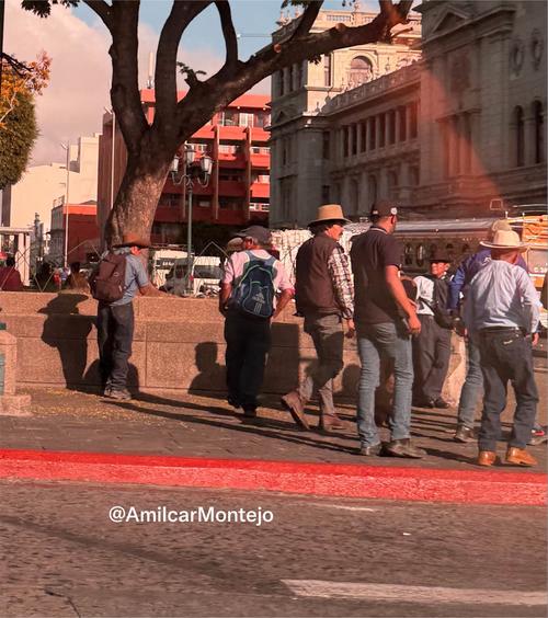 Los manifestantes se han concentrado en un inicio en el Palacio Nacional. (Foto v&iacute;a: Am&iacute;lcar Montejo)