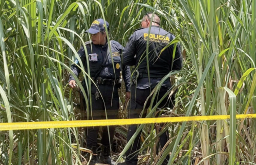 Los cuerpos sin vida de la pareja fueron encontrados en un ca&ntilde;averal. (Foto: PNC)