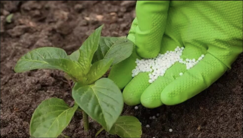 Una donaci&oacute;n de 300 toneladas de fertilizante procedente de Marruecos ingresar&aacute; al pa&iacute;s en los pr&oacute;ximos d&iacute;as. (Foto: Archivo/Soy502) 