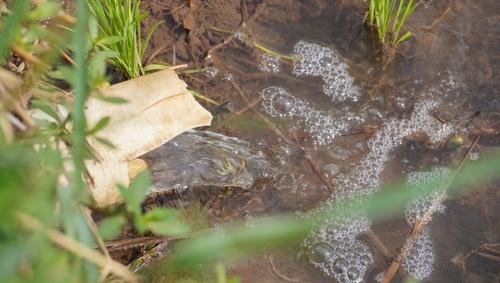 El estudio evidencia descargas de aguas residuales sin tratamiento en distintos puntos de la cuenca. (Foto ilustrativa: Shutterstock)