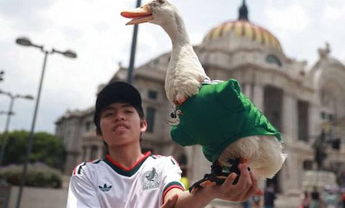 mundial 2026 FIFIA pato merlin mascota copa mundo 1