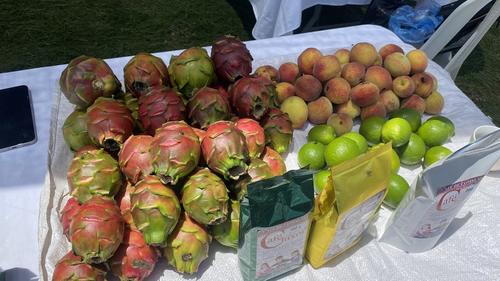 Comalapa es productor de frutas y hortalizas. (Foto: Carlos Sotz/Colaboradora)