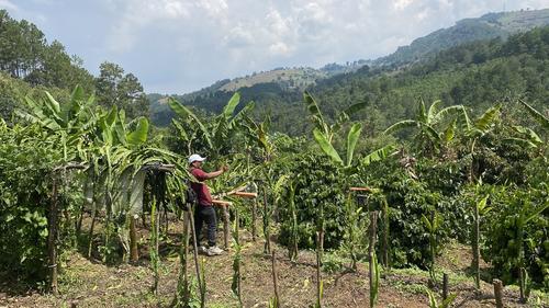 La comunidad se caracteriza por la producci&oacute;n de frutas y hortalizas. (Foto: Carlos Sotz/Colaborador)