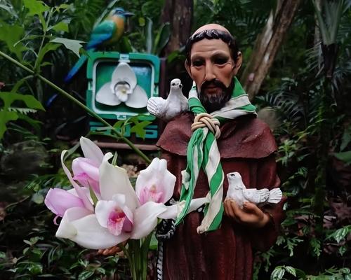 Es el lugar ideal para conocer de cerca todo tipo de orqu&iacute;deas. (Foto: Orquigonia)