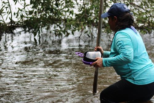 Insivumeh, Sipacate, Escuintla, Manglares, Ecosistema estuarino, Calidad del agua, Oceanograf&iacute;a, Monitoreo ambiental, 03