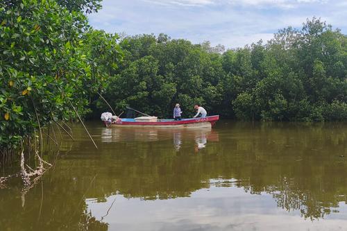 Insivumeh, Sipacate, Escuintla, Manglares, Ecosistema estuarino, Calidad del agua, Oceanograf&iacute;a, Monitoreo ambiental, 02