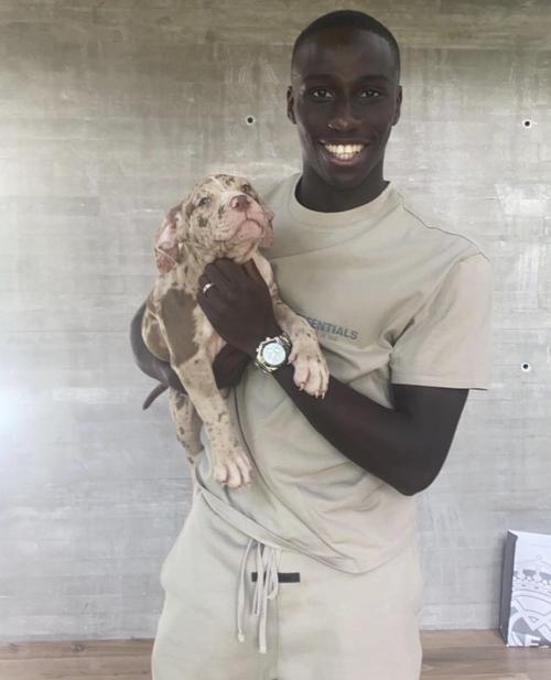 Mendy es fan&aacute;tico de los perros y tiene varios en su residencia. (Foto: Redes)