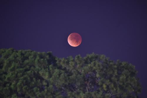 (Foto: Fredy Hern&aacute;ndez/Soy502)