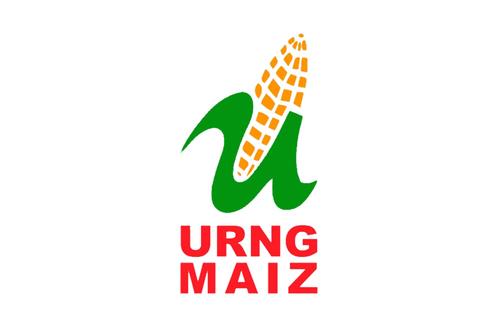 Tribunal Supremo Electora, partidos pol&iacute;ticos, elecciones 2027, secretarios, afiliados, 22