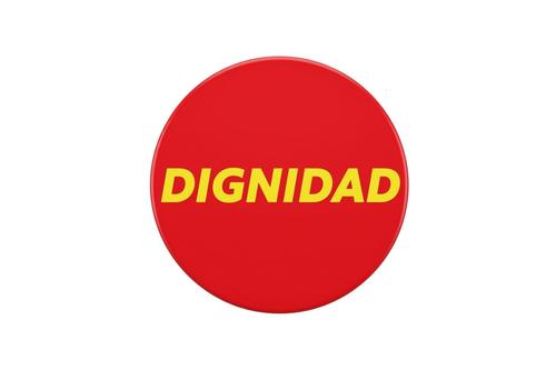 Comit&eacute;s proformaci&oacute;n, partidos pol&iacute;ticos, Tribunal Supremo Electoral, secretario general, 06