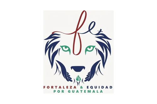 Comit&eacute;s proformaci&oacute;n, partidos pol&iacute;ticos, Tribunal Supremo Electoral, secretario general, 07