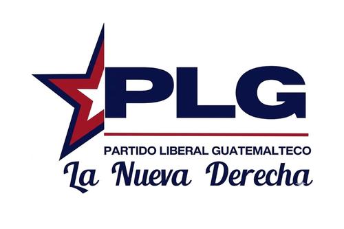 Comit&eacute;s proformaci&oacute;n, partidos pol&iacute;ticos, Tribunal Supremo Electoral, secretario general, 10