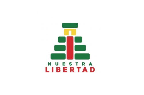 Comit&eacute;s proformaci&oacute;n, partidos pol&iacute;ticos, Tribunal Supremo Electoral, secretario general, 11