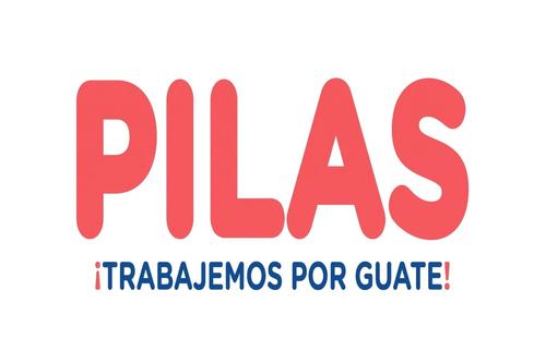 Comit&eacute;s proformaci&oacute;n, partidos pol&iacute;ticos, Tribunal Supremo Electoral, secretario general, 15