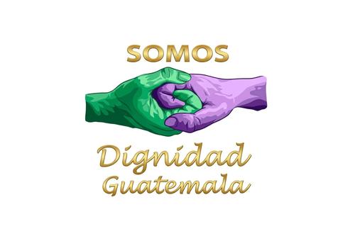 Comit&eacute;s proformaci&oacute;n, partidos pol&iacute;ticos, Tribunal Supremo Electoral, secretario general, 19