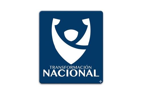 Comit&eacute;s proformaci&oacute;n, partidos pol&iacute;ticos, Tribunal Supremo Electoral, secretario general, 20