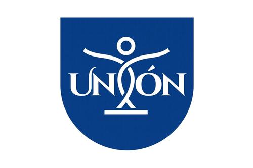 Comit&eacute;s proformaci&oacute;n, partidos pol&iacute;ticos, Tribunal Supremo Electoral, secretario general, 21