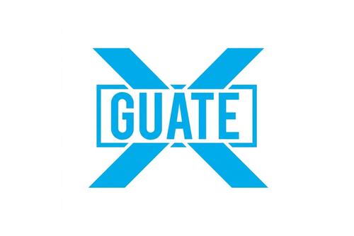 Comit&eacute;s proformaci&oacute;n, partidos pol&iacute;ticos, Tribunal Supremo Electoral, secretario general, 23