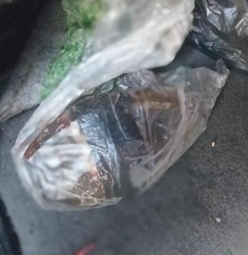 Tras el hallazgo las autoridades activaron protocolos de seguridad. (Foto: PNC)