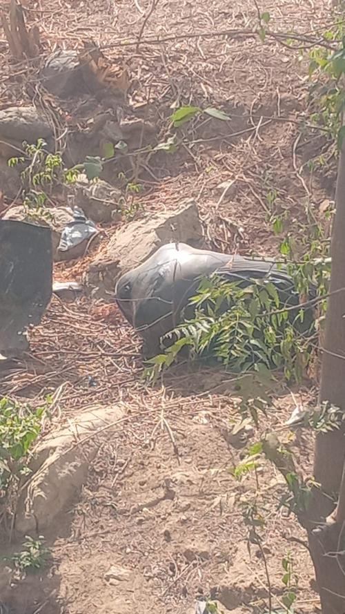 El cuerpo se encontraba envuelto en bolsas pl&aacute;sticas. (Foto: Carlos Monroy/Colaborador)